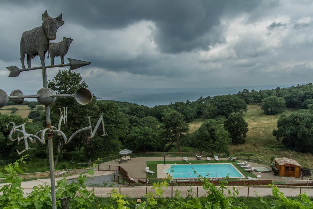 Specchio Del Montefiascone